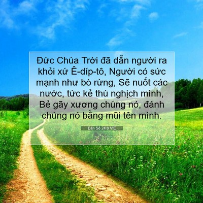 Picture 07 - Dân Số 24:8 VIE - Đức Chúa Trời đã dẫn người ra khỏi - Bible Verse Picture