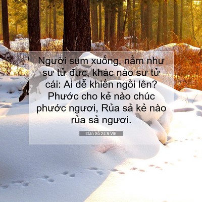 Picture 07 - Dân Số 24:9 VIE - Người sụm xuống, nằm như sư tử - Bible Verse Picture