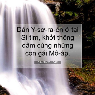 Picture 07 - Dân Số 25:1 VIE - Dân Y-sơ-ra-ên ở tại Si-tim, khởi thông - Bible Verse Picture
