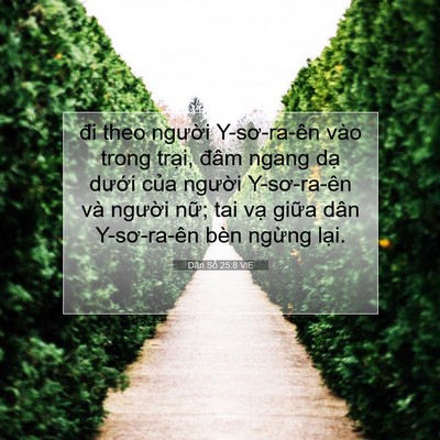 Picture 07 - Dân Số 25:8 VIE - đi theo người Y-sơ-ra-ên vào trong trại, - Bible Verse Picture