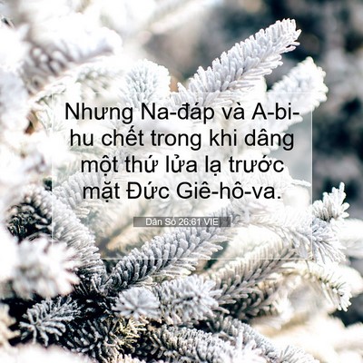 Picture 07 - Dân Số 26:61 VIE - Nhưng Na-đáp và A-bi-hu chết trong khi - Bible Verse Picture