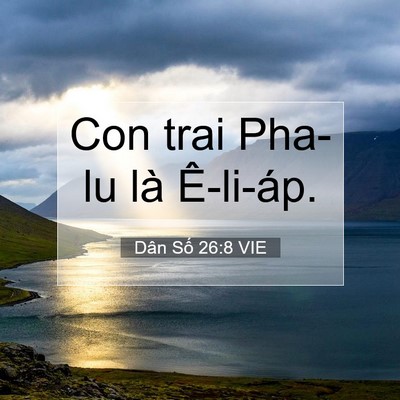 Picture 07 - Dân Số 26:8 VIE - Con trai Pha-lu là - Bible Verse Picture
