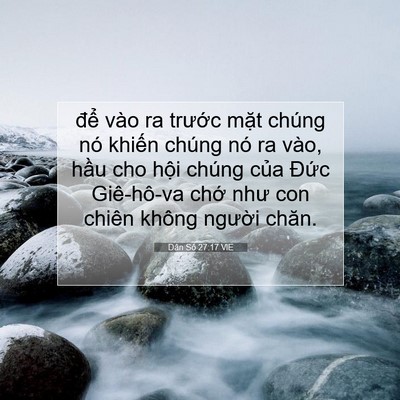 Picture 07 - Dân Số 27:17 VIE - để vào ra trước mặt chúng nó khiến - Bible Verse Picture