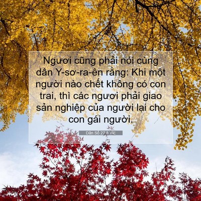 Picture 07 - Dân Số 27:8 VIE - Ngươi cũng phải nói cùng dân Y-sơ-ra-ên - Bible Verse Picture
