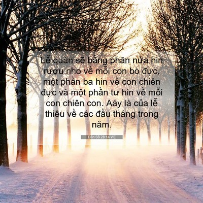 Picture 07 - Dân Số 28:14 VIE - Lễ quán sẽ bằng phân nửa hin rượu - Bible Verse Picture