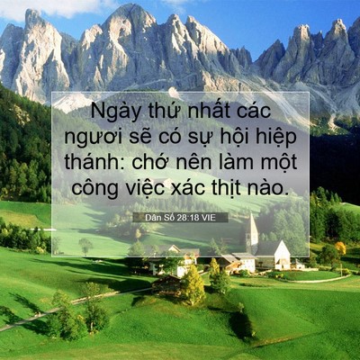 Picture 07 - Dân Số 28:18 VIE - Ngày thứ nhất các ngươi sẽ có sự - Bible Verse Picture