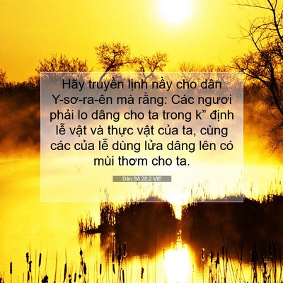 Picture 07 - Dân Số 28:2 VIE - Hãy truyền lịnh nầy cho dân Y-sơ-ra-ên - Bible Verse Picture