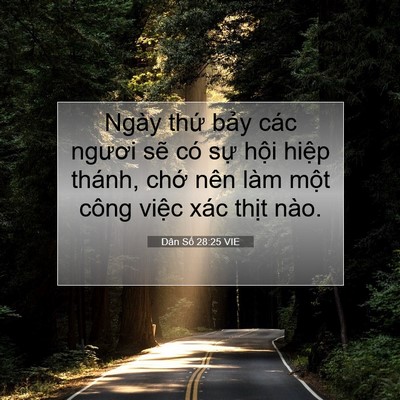 Picture 07 - Dân Số 28:25 VIE - Ngày thứ bảy các ngươi sẽ có sự - Bible Verse Picture