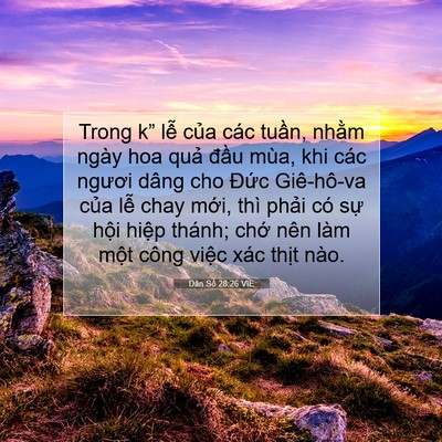 Picture 07 - Dân Số 28:26 VIE - Trong k” lễ của các tuần, nhằm ngày - Bible Verse Picture