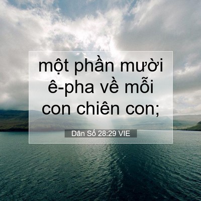 Picture 07 - Dân Số 28:29 VIE - một phần mười ê-pha về mỗi con chiên - Bible Verse Picture