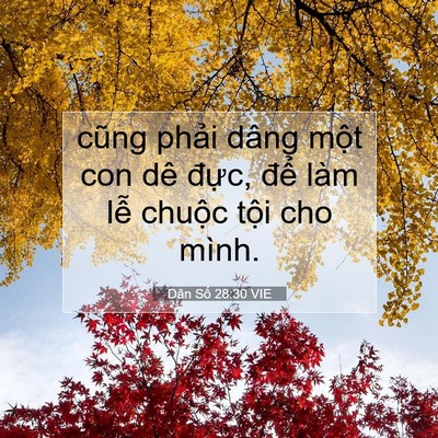 Picture 07 - Dân Số 28:30 VIE - cũng phải dâng một con dê đực, để - Bible Verse Picture
