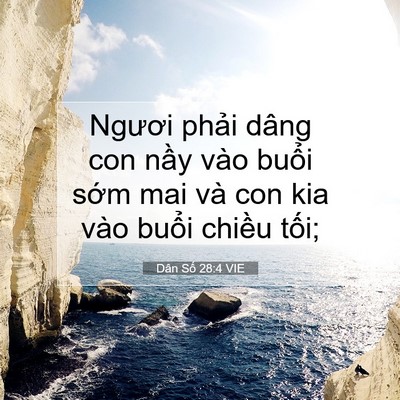 Picture 07 - Dân Số 28:4 VIE - Ngươi phải dâng con nầy vào buổi sớm - Bible Verse Picture