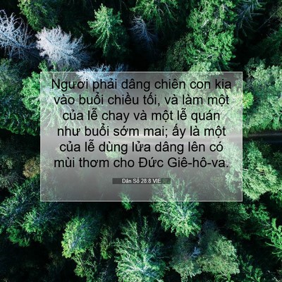 Picture 07 - Dân Số 28:8 VIE - Ngươi phải dâng chiên con kia vào buổi - Bible Verse Picture