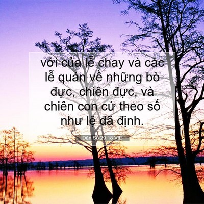 Picture 07 - Dân Số 29:18 VIE - với của lễ chay và các lễ quán về - Bible Verse Picture