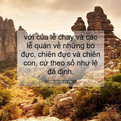 Picture 07 - Dân Số 29:21 VIE - với của lễ chay và các lễ quán về - Bible Verse Picture