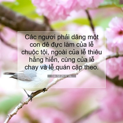 Picture 07 - Dân Số 29:22 VIE - Các ngươi phải dâng một con dê đực - Bible Verse Picture