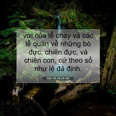 Picture 07 - Dân Số 29:24 VIE - với của lễ chay và các lễ quán về - Bible Verse Picture