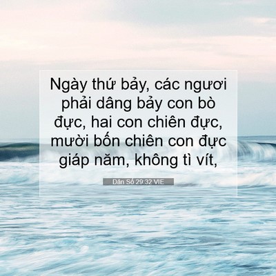 Picture 07 - Dân Số 29:32 VIE - Ngày thứ bảy, các ngươi phải dâng - Bible Verse Picture