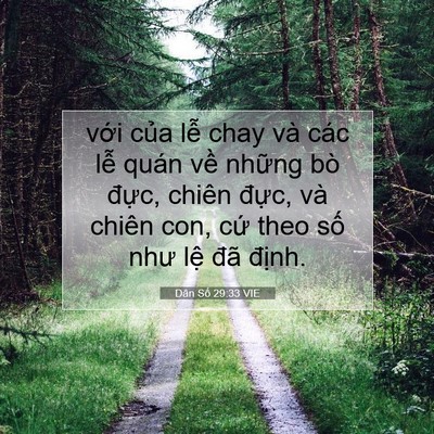 Picture 07 - Dân Số 29:33 VIE - với của lễ chay và các lễ quán về - Bible Verse Picture