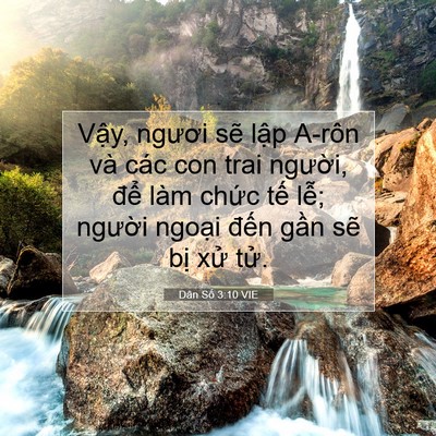 Picture 07 - Dân Số 3:10 VIE - Vậy, ngươi sẽ lập A-rôn và các con - Bible Verse Picture