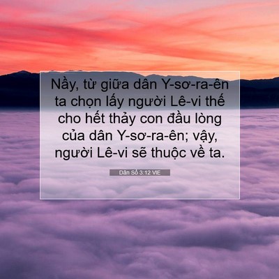 Picture 07 - Dân Số 3:12 VIE - Nầy, từ giữa dân Y-sơ-ra-ên ta chọn - Bible Verse Picture