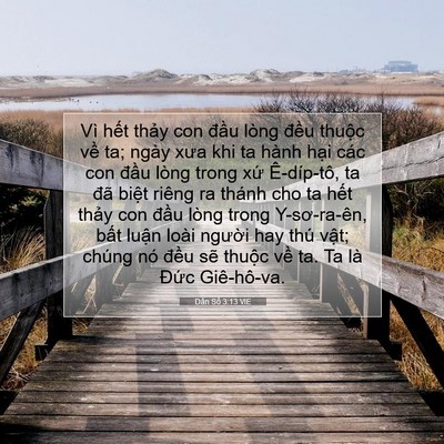 Picture 07 - Dân Số 3:13 VIE - Vì hết thảy con đầu lòng đều thuộc - Bible Verse Picture