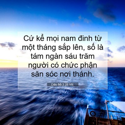Picture 07 - Dân Số 3:28 VIE - Cứ kể mọi nam đinh từ một tháng sắp - Bible Verse Picture