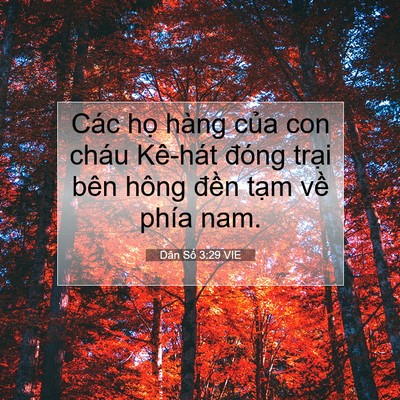 Picture 07 - Dân Số 3:29 VIE - Các họ hàng của con cháu Kê-hát đóng - Bible Verse Picture