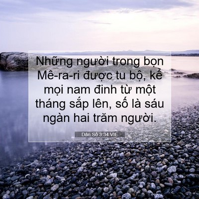 Picture 07 - Dân Số 3:34 VIE - Những người trong bọn Mê-ra-ri được - Bible Verse Picture