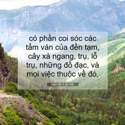 Picture 07 - Dân Số 3:36 VIE - có phần coi sóc các tấm ván của đền - Bible Verse Picture