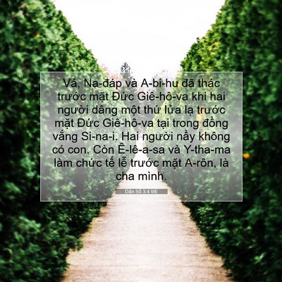 Picture 07 - Dân Số 3:4 VIE - Vả, Na-đáp và A-bi-hu đã thác trước - Bible Verse Picture