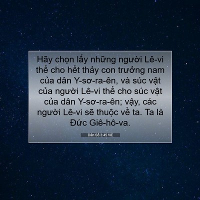 Picture 07 - Dân Số 3:45 VIE - Hãy chọn lấy những người Lê-vi thế - Bible Verse Picture