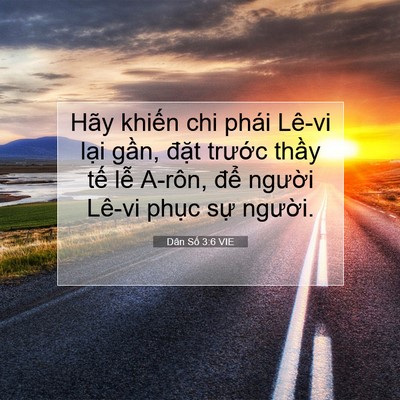 Picture 07 - Dân Số 3:6 VIE - Hãy khiến chi phái Lê-vi lại gần, đặt - Bible Verse Picture