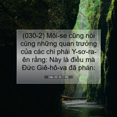 Picture 07 - Dân Số 30:1 VIE - (030-2) Môi-se cũng nói cùng những quan - Bible Verse Picture