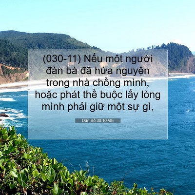 Picture 07 - Dân Số 30:10 VIE - (030-11) Nếu một người đàn bà đã - Bible Verse Picture