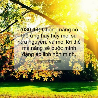 Picture 07 - Dân Số 30:13 VIE - (030-14) Chồng nàng có thế ưng hay hủy - Bible Verse Picture