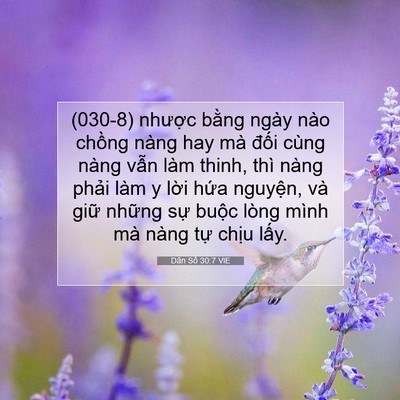 Picture 07 - Dân Số 30:7 VIE - (030-8) nhược bằng ngày nào chồng nàng - Bible Verse Picture