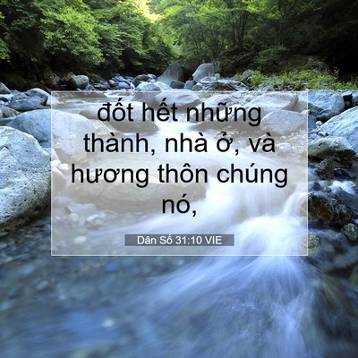 Picture 07 - Dân Số 31:10 VIE - đốt hết những thành, nhà ở, và - Bible Verse Picture