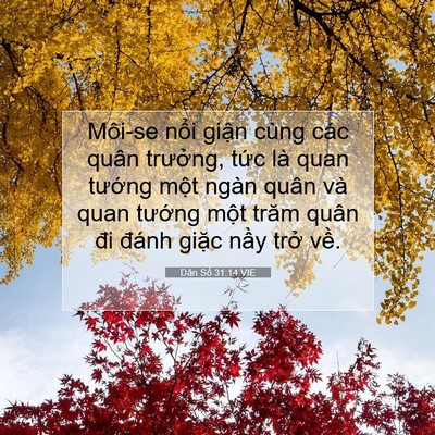 Picture 07 - Dân Số 31:14 VIE - Môi-se nổi giận cùng các quân trưởng, - Bible Verse Picture