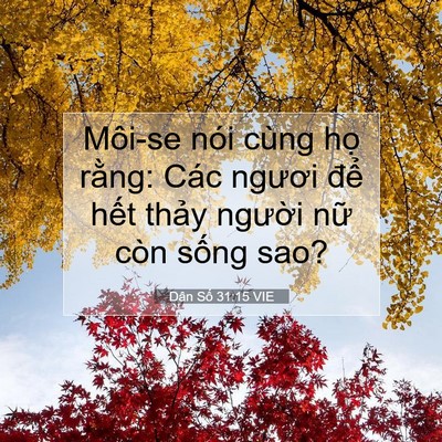 Picture 07 - Dân Số 31:15 VIE - Môi-se nói cùng họ rằng: Các ngươi - Bible Verse Picture