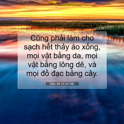 Picture 07 - Dân Số 31:20 VIE - Cũng phải làm cho sạch hết thảy áo - Bible Verse Picture