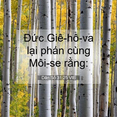 Picture 07 - Dân Số 31:25 VIE - Đức Giê-hô-va lại phán cùng Môi-se - Bible Verse Picture