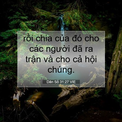 Picture 07 - Dân Số 31:27 VIE - rồi chia của đó cho các người đã ra - Bible Verse Picture