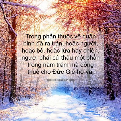 Picture 07 - Dân Số 31:28 VIE - Trong phần thuộc về quân binh đã ra - Bible Verse Picture