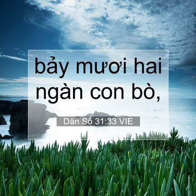 Picture 07 - Dân Số 31:33 VIE - bảy mươi hai ngàn con - Bible Verse Picture