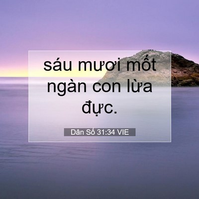 Picture 07 - Dân Số 31:34 VIE - sáu mươi mốt ngàn con lừa - Bible Verse Picture