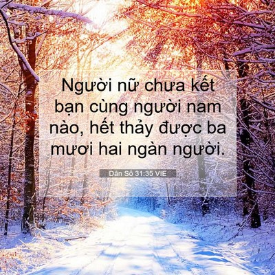 Picture 07 - Dân Số 31:35 VIE - Người nữ chưa kết bạn cùng người - Bible Verse Picture