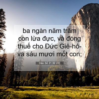 Picture 07 - Dân Số 31:39 VIE - ba ngàn năm trăm con lừa đực, và đóng - Bible Verse Picture