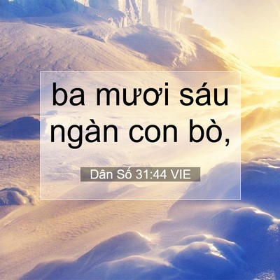 Picture 07 - Dân Số 31:44 VIE - ba mươi sáu ngàn con - Bible Verse Picture