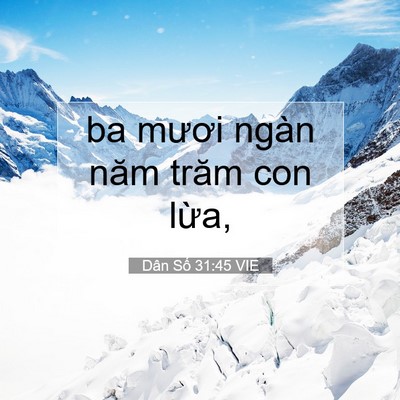 Picture 07 - Dân Số 31:45 VIE - ba mươi ngàn năm trăm con - Bible Verse Picture